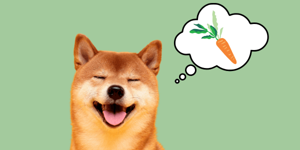 5 Benefits of Carrot for Dogs